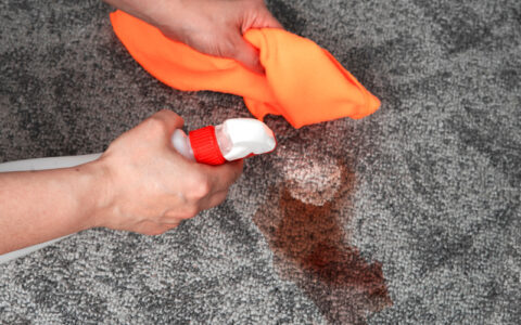 Removing a stain from a carpet
